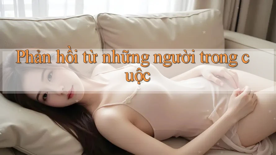 Phản hồi từ những người trong cuộc Phản hồi từ những người trong cuộc