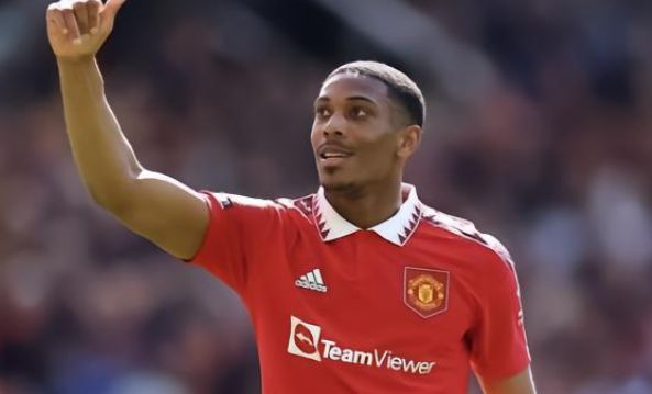 多猛龙队夺 多猛龙队夺